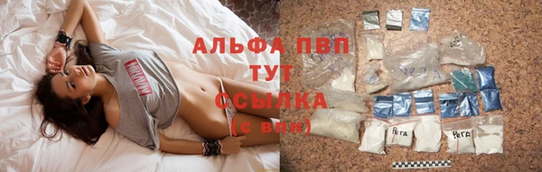 apvp Алзамай