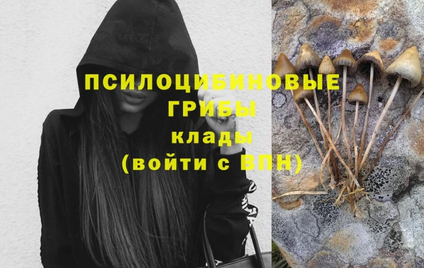 Альфа ПВП Алексеевка
