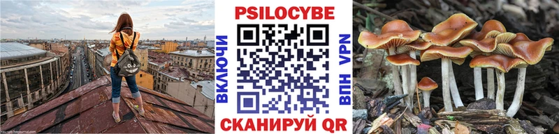 закладка  mega онион  Псилоцибиновые грибы Psilocybe  Боготол 